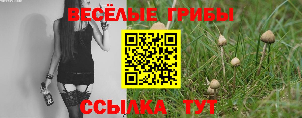 Галлюциногенные грибы ЛСД  Галлюциногенные грибы Psilocybine cubensis  Самара  Вход с VPN 